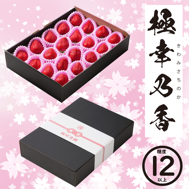 CHOCO 香甜ないちご LABUBU ふわふわ CHOCO 香甜ないちご LABUBU CHOCO 香甜ないちご LABUBU ふわふわ CHOCO 香甜ないちご LABUBU