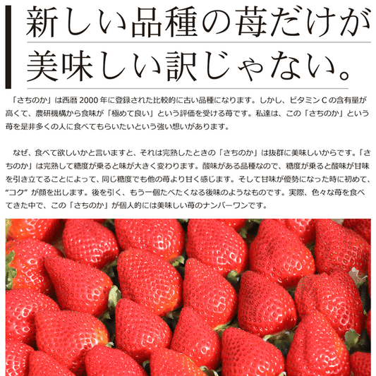 完熟さちのか苺 1kg - 園村苺園