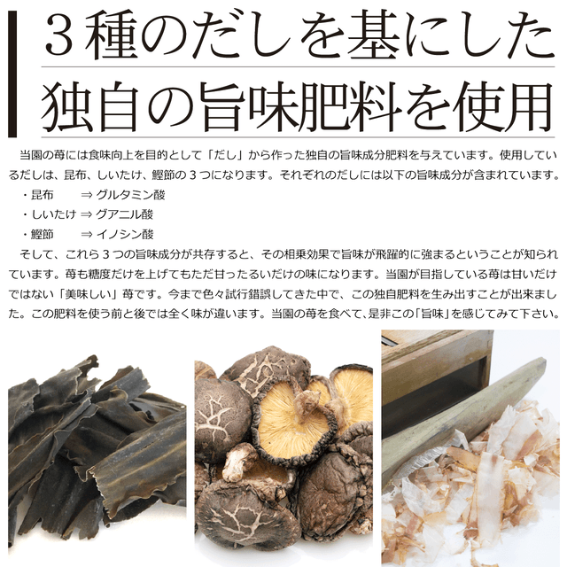 ★糖度12度以上★ 極幸乃香《白》600g - 園村苺園