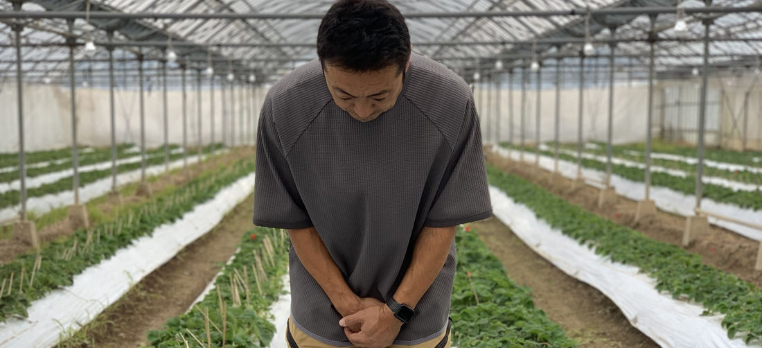 苺の予約購入によるご支援のお願い