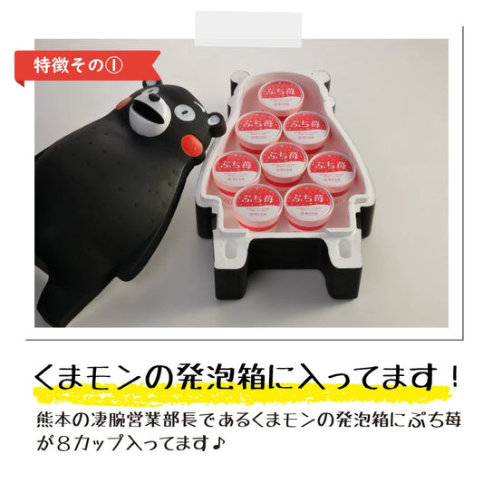 くまモン x 完熟冷凍いちご「ぷち苺」50g×8カップ 練乳付き