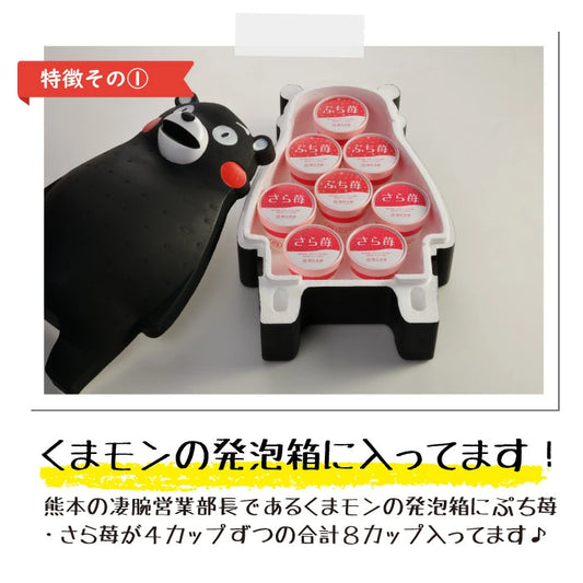 くまモン x 完熟冷凍いちご「ぷち苺」「さら苺」50g×各4カップ 練乳付き