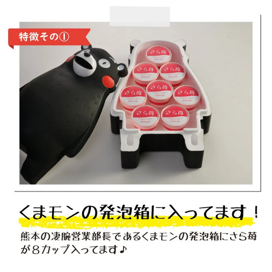 くまモン x 完熟冷凍いちご「さら苺」50g×8カップ 練乳付き