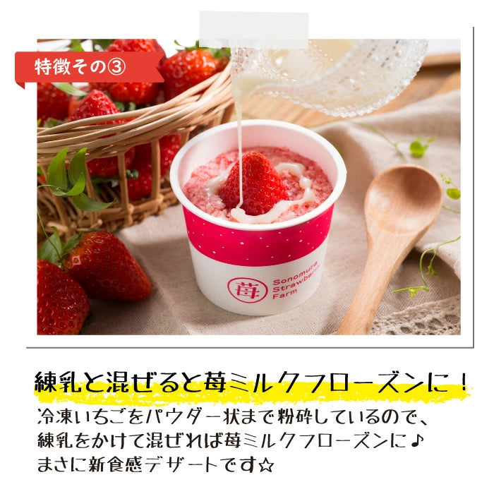 くまモン x 完熟冷凍いちご「さら苺」50g×8カップ　練乳付き