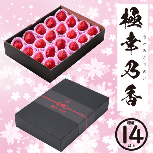 ★糖度14度以上★ 極幸乃香《黒》600g - 園村苺園