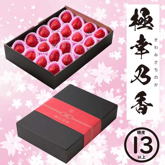 ★糖度13度以上★ 極幸乃香《赤》600g - 園村苺園