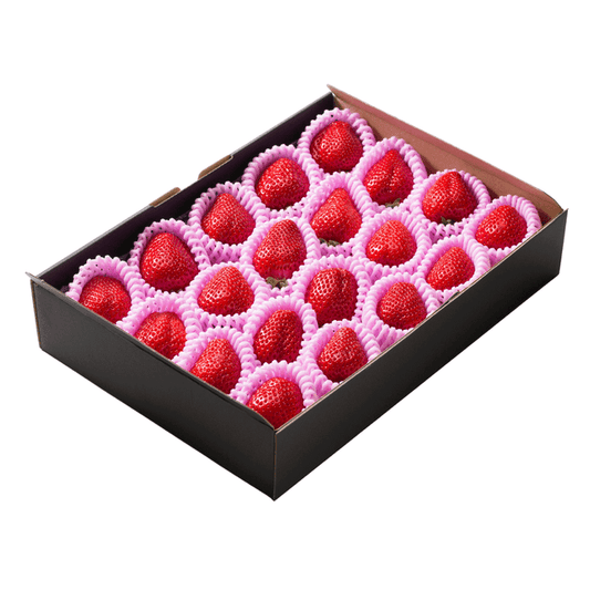 ★糖度14度以上★ 極幸乃香《黒》600g - 園村苺園