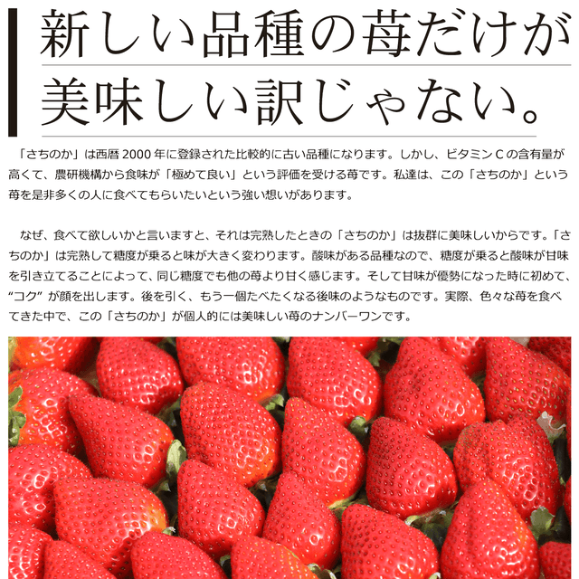 完熟さちのか苺 １kg - 園村苺園