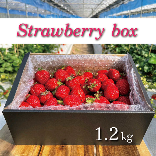 【コンフィチュール/ジャムにも】完熟・小粒 Strawberry box